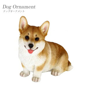 yzI[ig hbOI[ig R[M[ CX^f IuWF fBXvCp CeA ybg u A q Mtg 蕨 mΑn 14269 animal