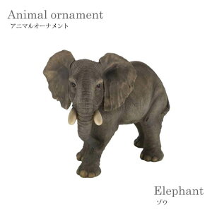 yzAj}I[ig  ]E  I[ig K[fjO   IV  IuWF G   14198 mΑn animal Clip