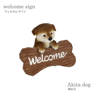 }\ԒX|Cgő20{yzK[f TC welcome  Hc {  hbOI[ig 킢 W  K[fjO G 14231 mΑn animal