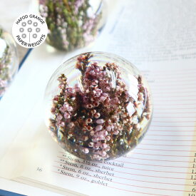 楽天市場 花 アクリル樹脂 標本の通販