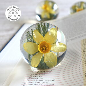 ntHhOWHafodGrange@ԕt[y[p[EGCg@STCY@bpXCZ@HG15SyntHhOWFzybsOΉz