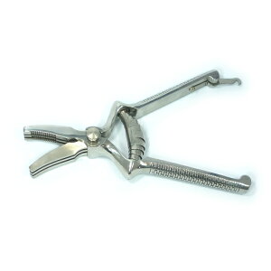 v}bNX@PREMAX@Lb`΂݁@ł~`͂݁@Hp͂݁@ݐHp͂݁@H@𚐍