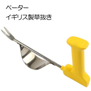 y󂠂zy[^[ PETA itH[Nj PFG_W