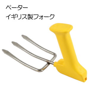 y󂠂zy[^[ PETA tH[N PFG_F