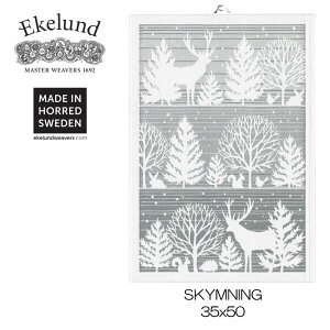 G[Ph Ekelund SKYMNING 35×50cm Lb`^I Lb`NX ^yXg[ I[KjbNRbg [ #43937