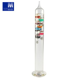 y󂠂z[T[i~[ej hCc KIxv  42cm 7 Vo[`F[E^O 18`24 KXt[gxv