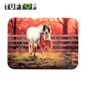 y󂠂zCMX ^tgbv TUFTOP KX܂Ȕ New  30×40cm lp NCGbg^C KXiϔMKXj JbeBO{[h ttpn_14sm