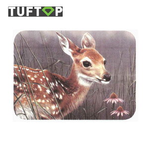 y󂠂zCMX ^tgbv TUFTOP KX܂Ȕ Wild  30×40cm lp tH[  KXiϔMKXj JbeBO{[h ttpw_30sm