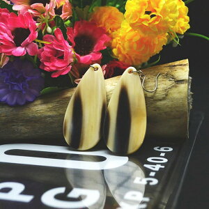  obt@[ z[ VRf  y ANZT[  킢  G sAX CO O V[g AWA`bN T[N vX ^ ubN T[N s