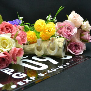  obt@[ z[ VRf  y ANZT[  킢  G sAX CO O V[g AWA`bN T[N vX ^ ubN T[N s