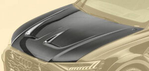 MANSORY }\[ {lbg J[{ Audi AEfB RSQ8 GAp[c {fB[p[c JX^ O