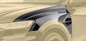 MANSORY }\[ tgtF_[ Audi AEfB RSQ8 GAp[c {fB[p[c JX^ O