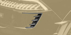 MANSORY }\[ Aop[Xvb^[ J[{ Audi AEfB RSQ8 GAp[c {fB[p[c JX^ O