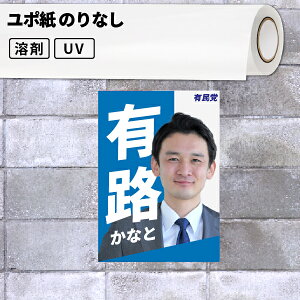 E|X^[y[p[pfBA F| SIJ-Y11 [500/620/1,370mm×10/30m[] gp }bg Ж n UV CNWFbgv^[Ή 163 163~N L |X^[