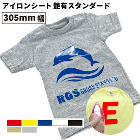 [4月29日までポイント5倍]艶有スタンダード RGS [305mm幅×50cm/5m/10m] カッティング用アイロンシート RGS-W ステカSV-12 シルエットカメオ スキャンカット対応 | 伸縮性 スポーツウェア ユニフォーム アイロン シート アイロンプリント 綿 ポリエステル