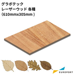 O{ebN VR LASER WOOD 5Zbg [F0.4/1.0/2.5/3.0mm] GRAV-827 | [U[H@ [U[Jb^[ nf J[ }bgH GRAVOTECH