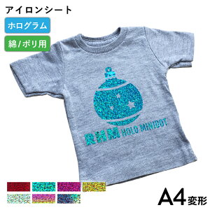 zO~jhbgRHM 195mm×300mm A4ό` [1/F10] JbeBOpACV[g A4-RHM | LL h ߑ  |GXe AC V[g ACvg o[V[g |