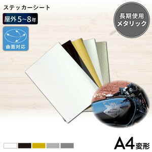 OnCO[h YX 195mm×300mm A4ό` [1/F5] JbeBOpXebJ[V[g A4-YX | O Ŕ OL EBhEfBXvC  XebJ[ V[ JbeBOXebJ[ P