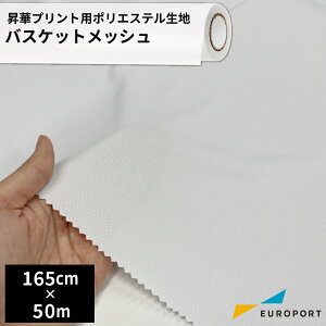 ؗp|GXen oXPbgbV [1650mm×1m/50m] [TXTL-SP300] ؓ] nf n EFAvg 