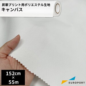 ؗp|GXen LoX [1520mm×1m/55m] [TXTL-SP700] ؓ] nf n EFAvg 