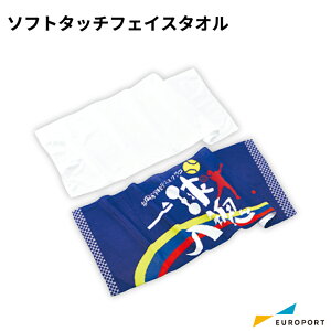 ؓ]ʗpnfށ@\tg^b`tFCX^I STM-SOFM [1/20/200]