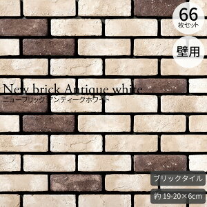 ubN^C K^C Ǘp O CeA K[fjO  IV JtF ubNX^C j[ubN AeB[NzCg tbg 1P[X66i1m2j 