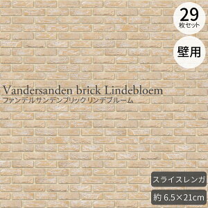 XCXK t@fTfubN fu[ tbg xM[ 29Zbgi0.5m2j iXCXK xM[K O/Ǘp ^K CG[`x[