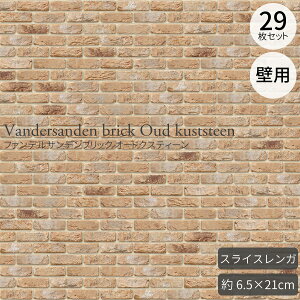 AeB[NXCXK t@fTfubN I[hNXeB[ tbg xM[ 29Zbgi0.5m2j iXCXK xM[K O/Ǘp ^