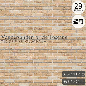 XCXK t@fTfubN gXJ[i tbg xM[ 29Zbgi0.5m2j iXCXK xM[K O/Ǘp ^K x[Wn ǐp 