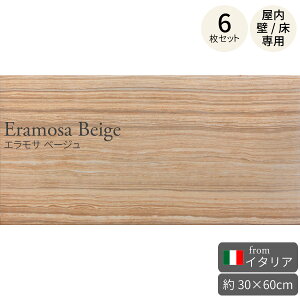 ǃ^C GT x[W 300×600mm C^A 6Zbgi1.08āj 펿嗝Β^C 嗝΃Xu xCJbg /p^C GKg p[g ` 唻 p