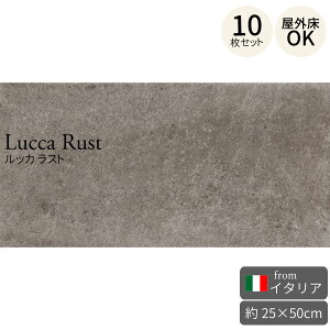 O^C bJ Xg 250×500mm C^A 10Zbgi1.25āj 펿Ζڒ^C Β Ε C^A^C tA^C  O eX O\ GgX  