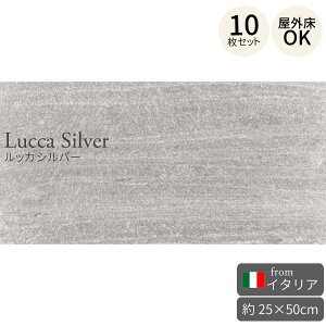 O^C bJ Vo[ 250×500mm C^A 10Zbgi1.25āj 펿Ζڒ^C Β Ε C^A^C tA^C  O eX O\ GgX 