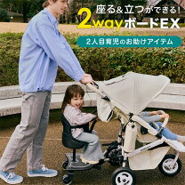 楽天市場】エアバギー二人乗りの通販