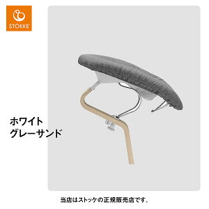 XgbPiSTOKKEjm~j[{[Zbgio[VujNomiChairExr[`FAEԂ֎qEnC`FA