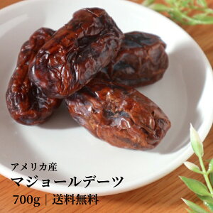 }W[ f[c (킠) AJY 700g Ȃ߂₵ }W[f[c X[p[t[h hCt[c Y sgp _ 嗱 H@ h{Lx e N VRÖ  p