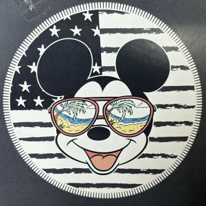 ���E���h���O ���E���h�p�C�����O(���a150cm�j��100�� �~�`���O�A�^�I���f�ށA�t�����W�t�� �r�[�`�}�b�g ���E���h�P�b�g (�k�C���A����́A�ʓr1000�~���K�v�ł��B)