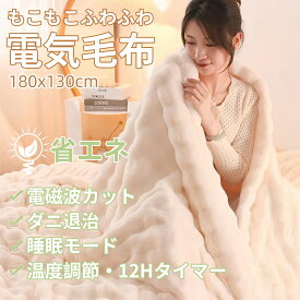 ★父の日限定10%OFF★【電磁波99%カット】【ラビットファー】ふわとろ毛布 電気毛布 掛け敷き兼用 電気もうふ 洗える 温度調節 厚手 コンセント 大判サイズ 炭素繊維ヒーター自動電源オフ ダニ退治 抗菌 過熱保護 タイマー機能付 ひざ掛け ダブル 2人 節電 厚手