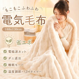 ★任意2点300円オフ★【電磁波99%カット】【ラビットファー】電気毛布 ダブル 大判 掛け敷き兼用 ふわとろ毛布 ふわふわ 洗える 温度調節 タイマー付き 自動電源オフ 炭素繊維ヒーター ダニ退治 抗菌 過熱保護 静電気防止 節電 省エネ 電気ブランケット ひざ掛け PSE 寝具