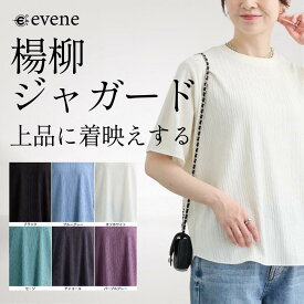 カットソー 楊柳 ジャカード トップス クルーネック 半袖 プルオーバー メロー リブ衿 ストレッチ きれいめ 通勤 OL 仕事 普段 インナー 高見え 無地 シンプル 大きいサイズ M〜3L ゆったり春 秋 冬 ロングシーズン レディース 816445