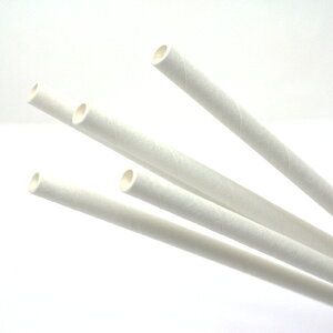 ȉَqpy[p[_25cm@2000{y킽piz