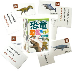 楽天市場 かるた 恐竜の通販