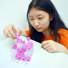楽天市場 ブロックス3dの通販