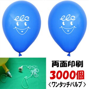 SD@wEKXpʈ(3000)@^b`ouEt/ L