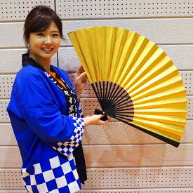 楽天市場 大扇子の通販