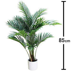 lH؁@p[c[@H85cm@ysvz@[^i160cmȏ]