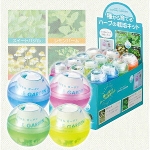 킩ĂJvZK[f@n[u͔|Lbg@24BOXZbg