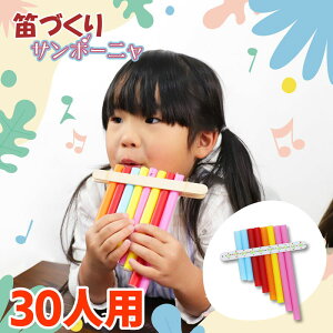 HCxgpbN@Xg[ŊyiJj@30lp / Cxg  y Lbg