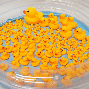 Aq1Ct(fBXvCp)@ՂՂAq咆ǂ@154Zbg /  ii Ղ 