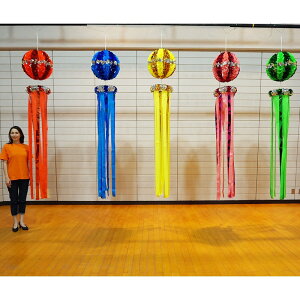 [@fbNXʐ(230cm)@/  ȒP t    傫 ڗ rbO