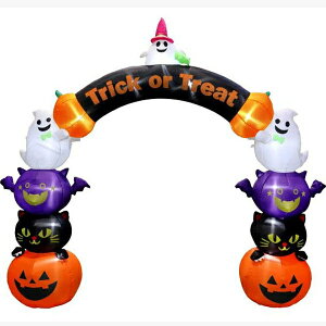 nEB rbO @GA[fBXvCA[`pvLtY@H300cm / GAu[